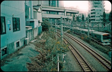 _NHW5891_1.JPG