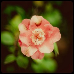 _NHW3658