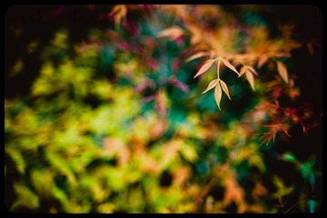 _NHW3630