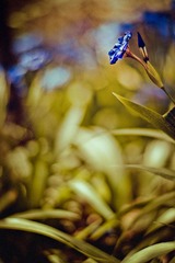 _NHW5103-2