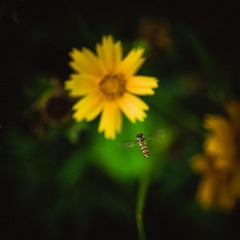 _NHW7226