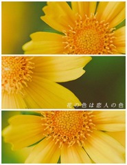 _NHW7201--1a