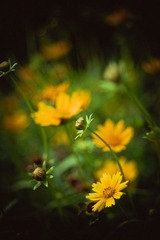 _NHW7212