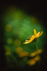 _NHW7222