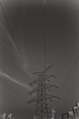 _NHW8695
