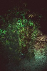 _NHW3331