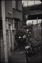 _NHW8290