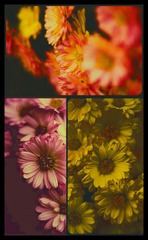 _NHW9724 as Smart Object-1
