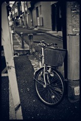 _NHW0613