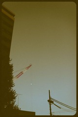 _NHW0819