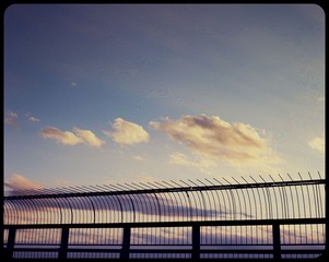 _NHW3181