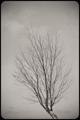 _NHW2892