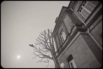 _NHW2985