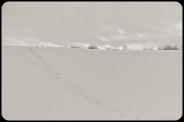 _NHW3017