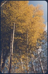 _NHW3734