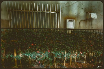 _NHW4919_1