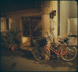 _NHW5292_1_1