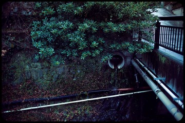 _NHW4682_1
