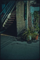 _NHW7185_1