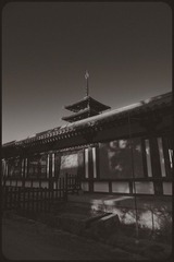 _NHW7786_1