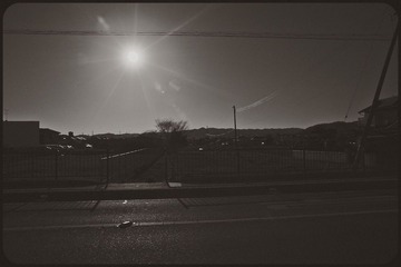 _NHW7760_1