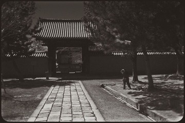 _NHW7684_1