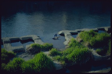 _NHW8085_1