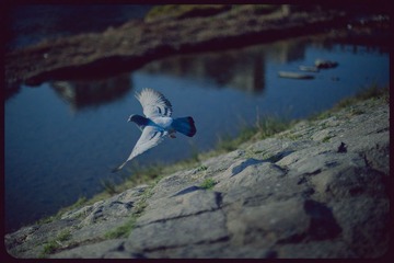 _NHW8073_1