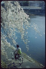 _NHW8045_1