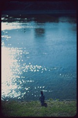 _NHW8036_1