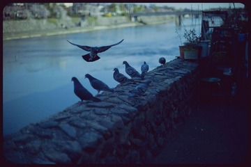 _NHW8010_1