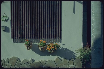 _NHW8005_1