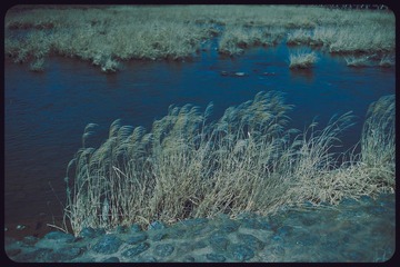 _NHW7940_1
