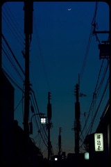 _NHW8285_1