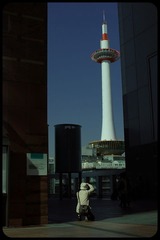 _NHW8172_1