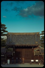 _NHW8482_1