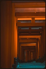 _NHW8378_1