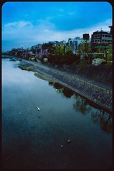 _NHW8515_1