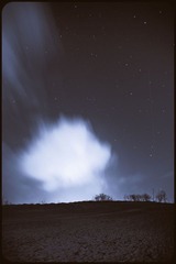 _NHW8564_1