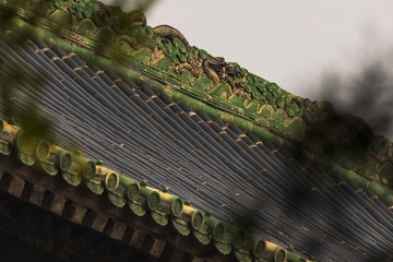 _NHW8675_1