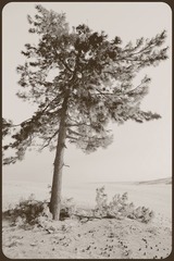 _NHW8707_1