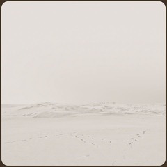 _NHW8674_1_1