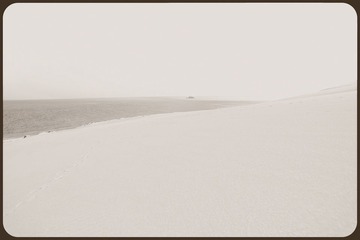 _NHW8650_1