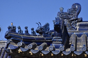 _NHW9784_1_1