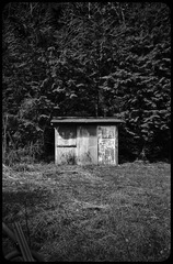 _NHW3006_1