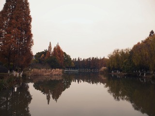 Optional("2C0214CE-01E7-4476-AD11-46858DCAE233/L0/001")