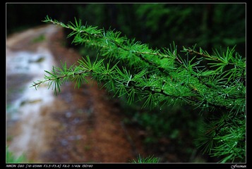 雨后