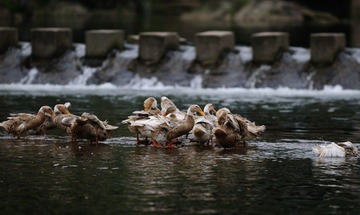 调整大小 DSC_12986