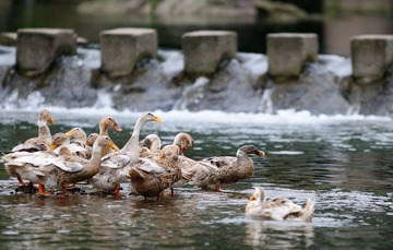 调整大小 DSC_12989