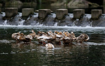 调整大小 DSC_12994